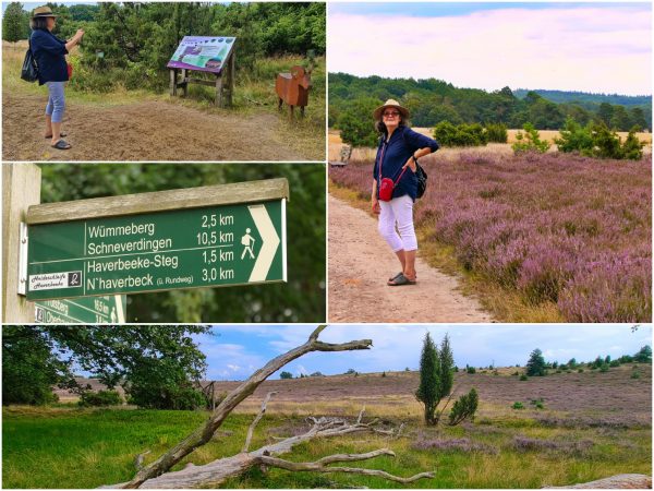 Collage_LGer-Heide-2024