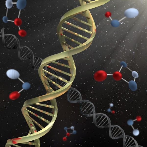 DNA-William_French-pixabay