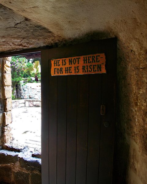 Gartengrab-2013-04c-2878