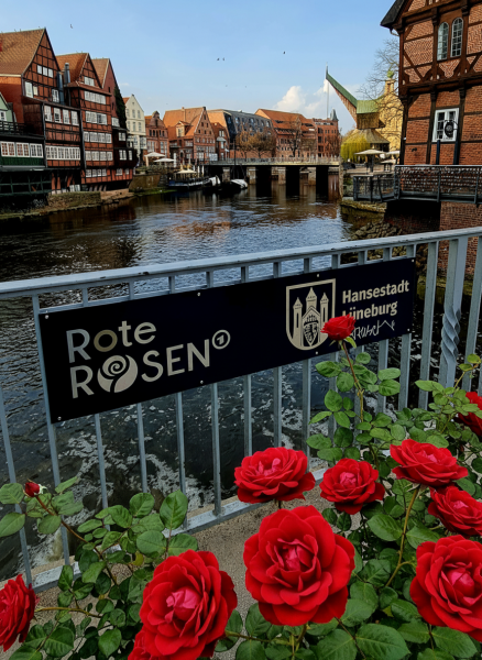 LG-RoteRosen-Brücke