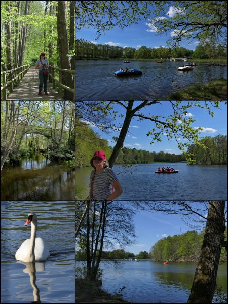 Lopausee-Collage-1