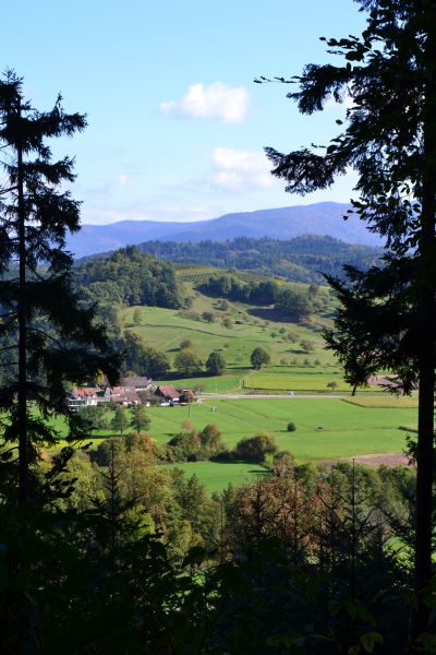 Schwarzwald-2-Norbert_höldin-pixabay