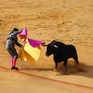 Torero-Claudia_von_Werder