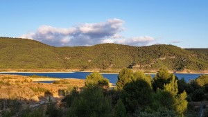 115-2019-09b-0600-MRV-kl