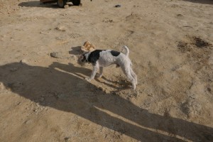 2019-09b-1161-Spanienreise-MRV-Pastoren-kl