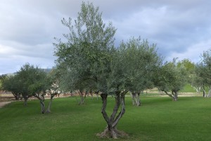 2019-09b-1179-Spanienreise-MRV-Pastoren-kl