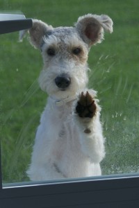 2019-09b-1195-Spanienreise-MRV-Pastoren-kl