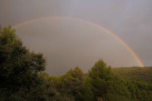 2019-09b-1197-Spanienreise-MRV-Pastoren-kl