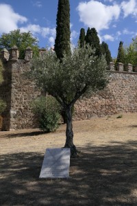 2019-09b-1525-Spanienreise-MRV-Toledo-kl