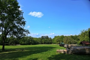 2020-09e-0120-Familientreffen-Diepoldsburg-kl