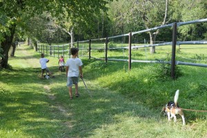 2020-09e-0160-Familientreffen-Diepoldsburg-kl