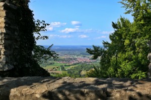 2020-09e-0191-Familientreffen-Diepoldsburg-kl