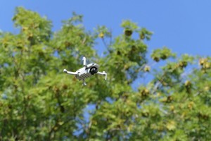 2020-09e-0295-Familientreffen-Diepoldsburg-kl