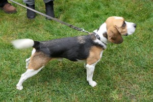 2020-10f-0117-Geburtstagsfeier-Reinhard-kl