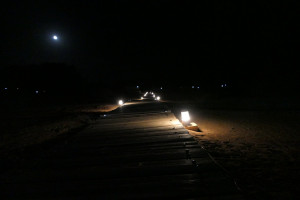 2022-05-17-1504-Wadi-Rum-kl