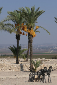 2022-11d-2298-Pastorenreise-Megiddo-kl