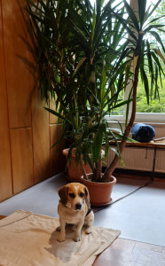 2024-09c-0089-Familientreffen-Diepoldsburg-kl