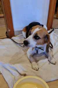 2024-09c-0106-Familientreffen-Diepoldsburg-kl