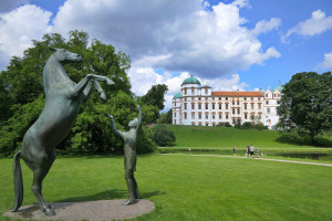 229-2021-07g-0208-Celle-kl