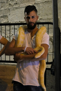 52-2019-06a-3441-Israelreise-Jerusalem-by-night_1