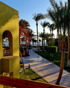 Tag-01-Hotel-04-2023-11c-0126-Hurghada-kl